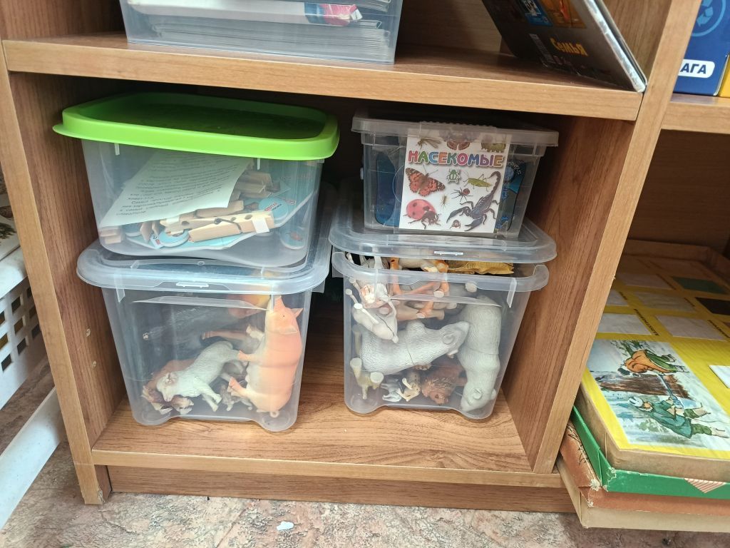 IMG20260427093618.jpg