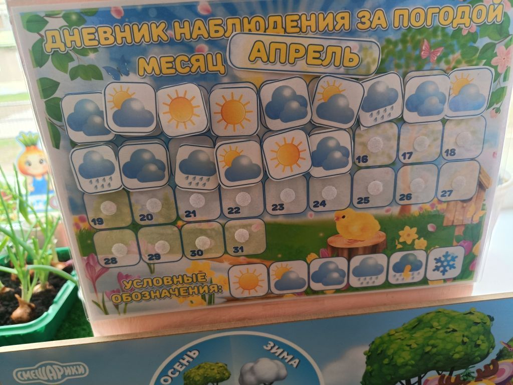 IMG20260427092953.jpg